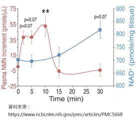 NMN availability in mice